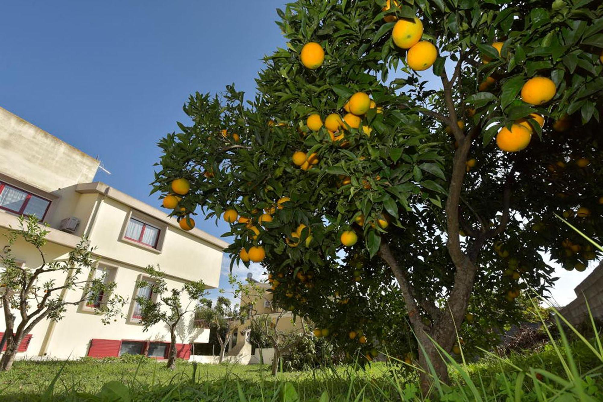 Villa Isola Bella - Costa Verde Mogoro Exteriör bild